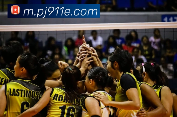 多彩内容专区