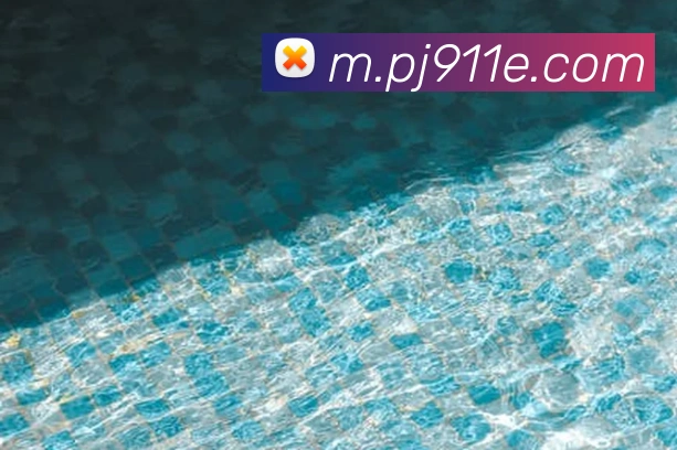 奖项图2